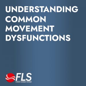 Understanding Common Movement Dysfunctions