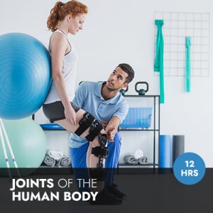 Online Course | Joints of the Human Body: An Exploration of Six Joints and their Wholistic Relationship to the Body