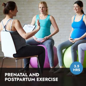 Online Course: Prenatal and Postpartum Exercise