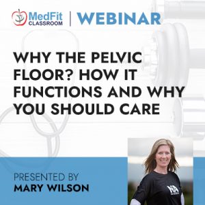 Why the Pelvic Floor? How It Functions and Why You Should Care